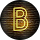 Brigit Paul profile picture