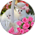 Ramsiya Basheer profile picture